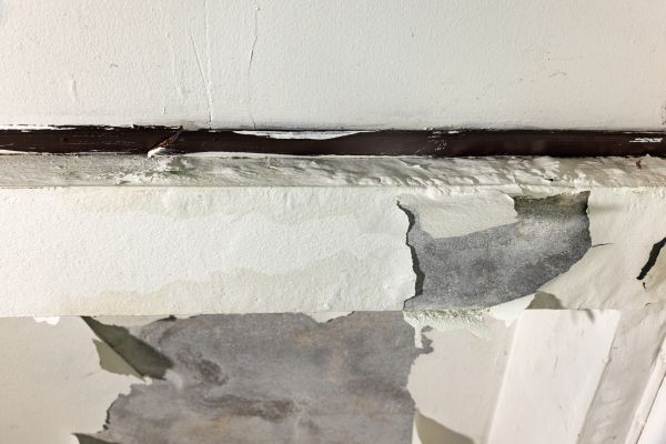 Cost of Porch Leak Repair in Truckee